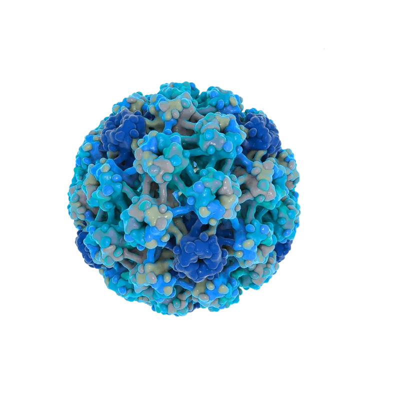 AAV capsid 3D render