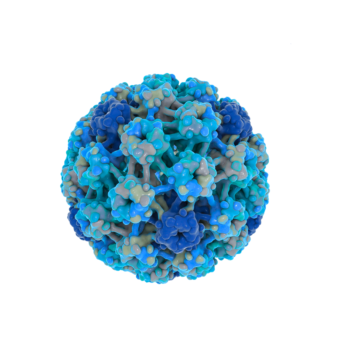 AAV capsid 3D render