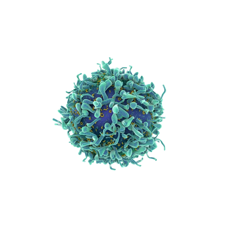 CAR-T cell render with engineered receptor detail