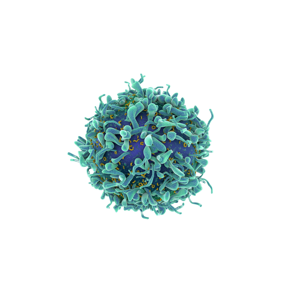 CAR-T cell render with engineered receptor detail