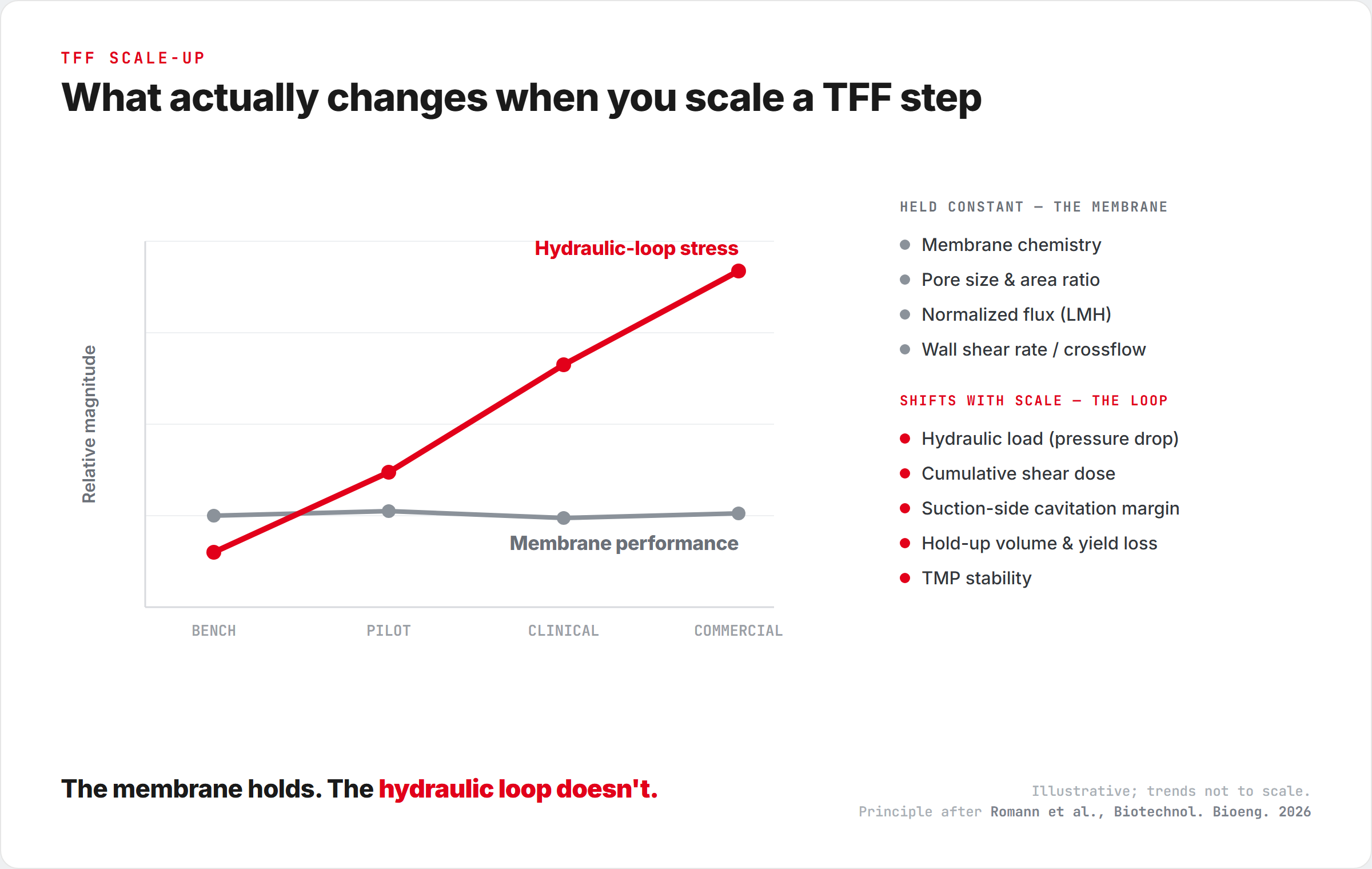 Chart showing membrane performance holding flat from bench to commercial scale while hydraulic-loop stress climbs steeply, with lists of what stays constant and what shifts with scale.