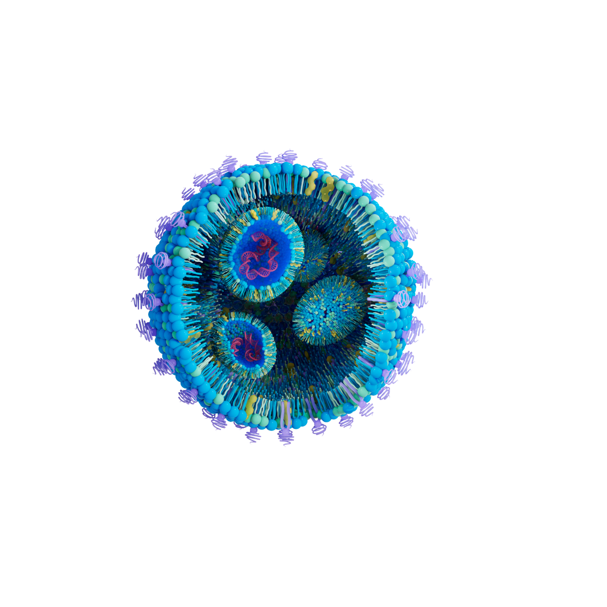 Lipid nanoparticle cutaway render