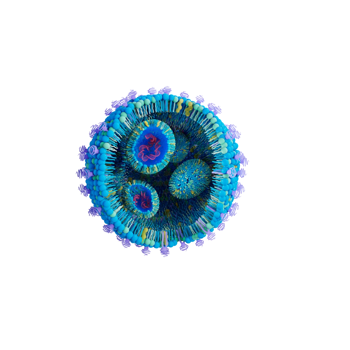Lipid nanoparticle cutaway render