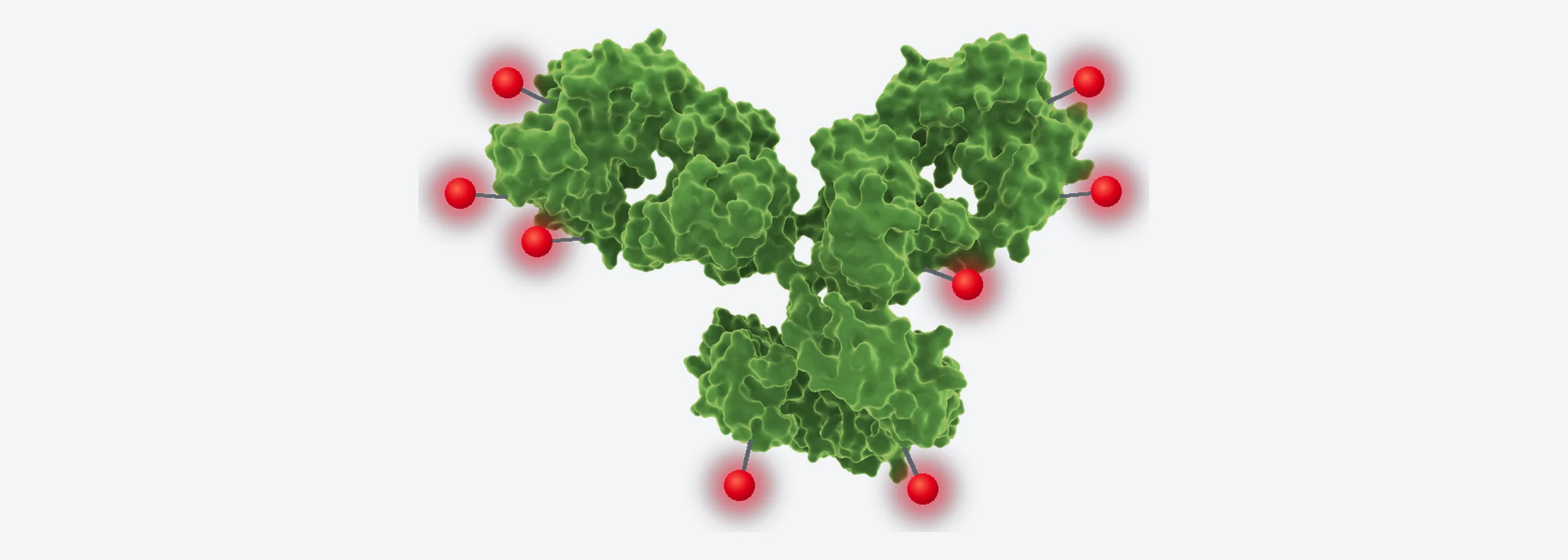 Antibody-drug conjugate: a monoclonal antibody carrying cytotoxic drug payloads on linkers