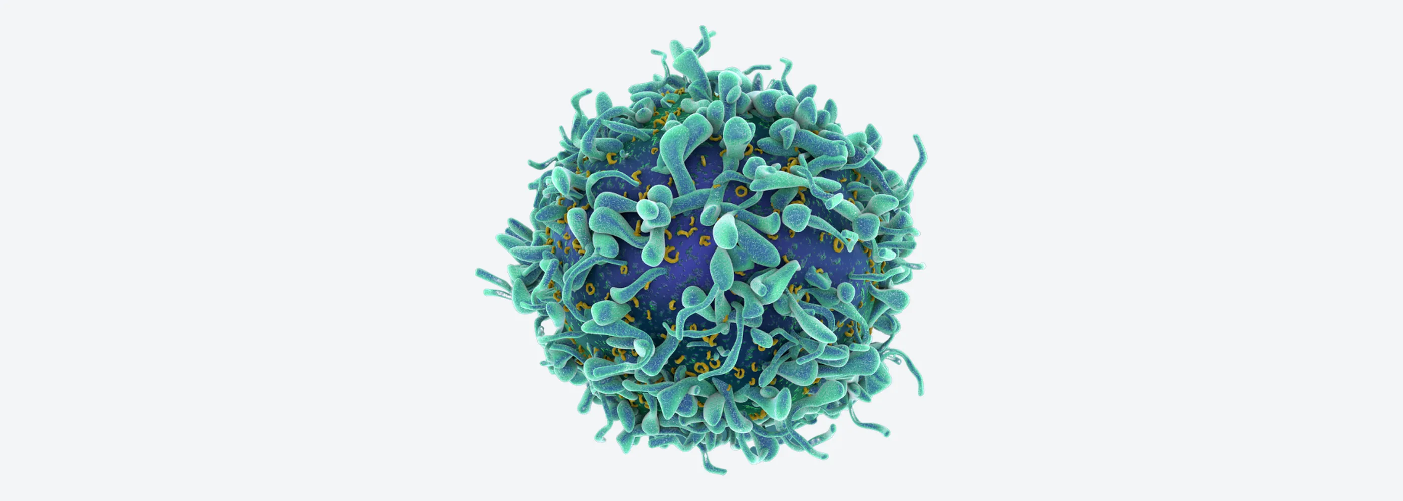 Cell & Gene Therapy downstream processing: gentle single-use TFF for AAV, lentivirus and living cells