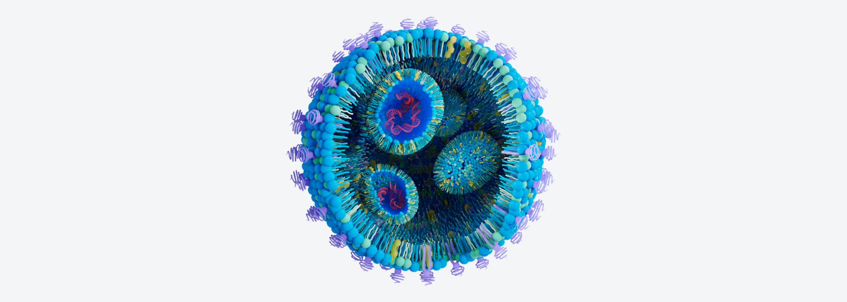 Lipid nanoparticles in a single-use tangential flow filtration loop for mRNA-LNP concentration and buffer exchange