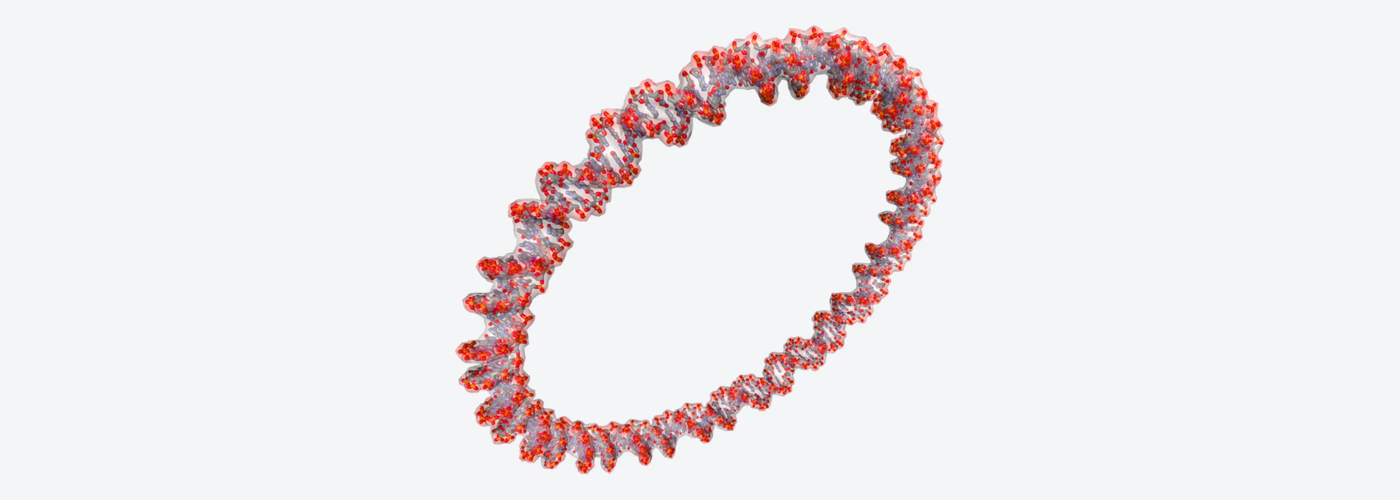Plasmid DNA supercoiled molecule and single-use tangential flow filtration loop for pDNA UF/DF
