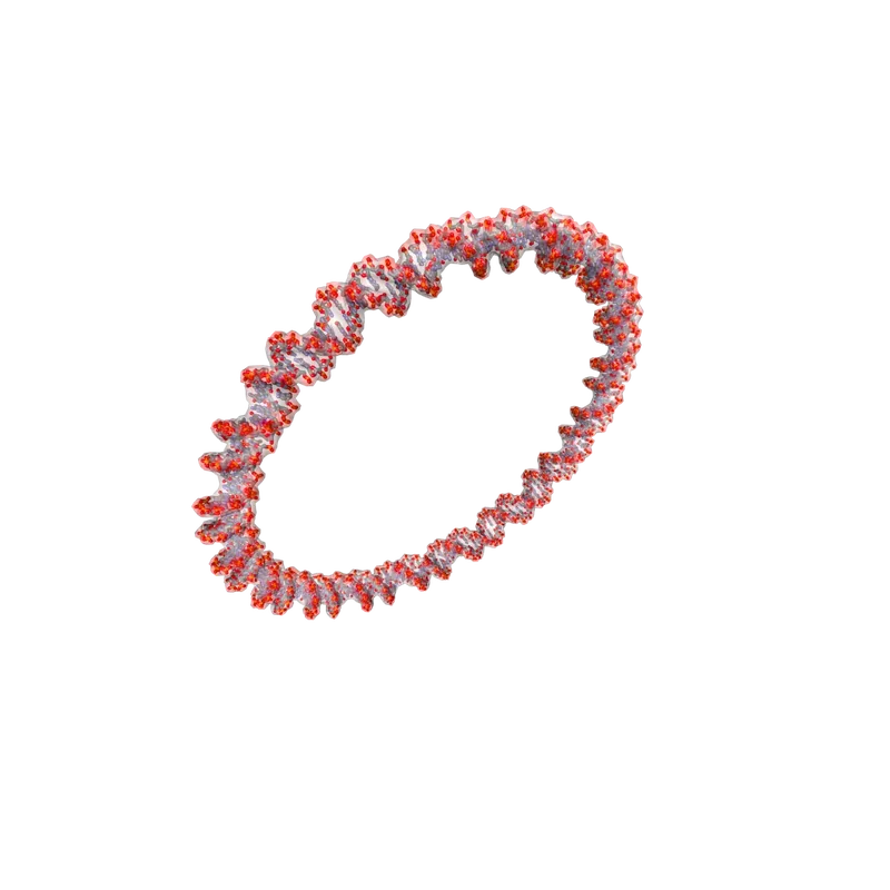 Plasmid DNA circular double-helix render