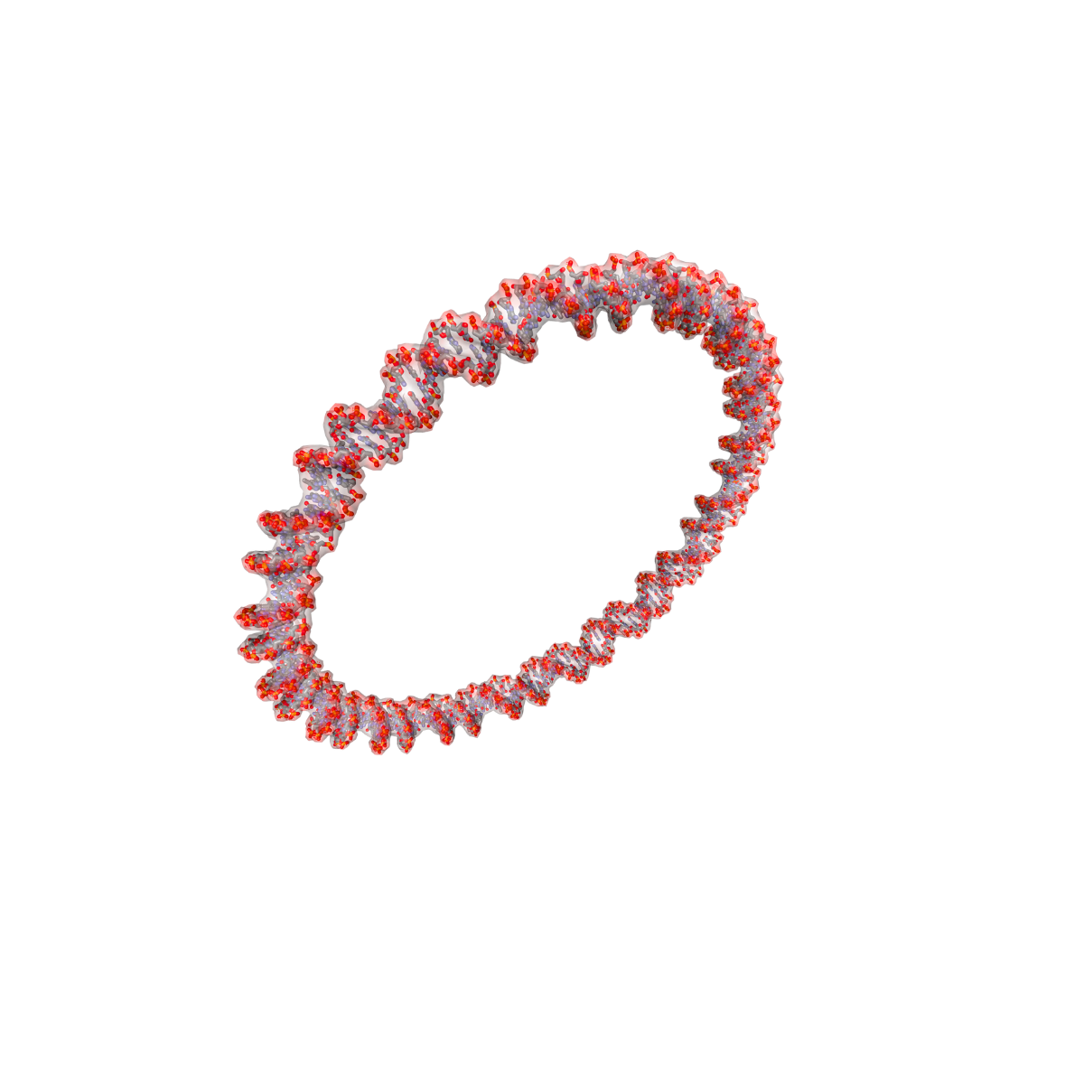 Plasmid DNA circular double-helix render