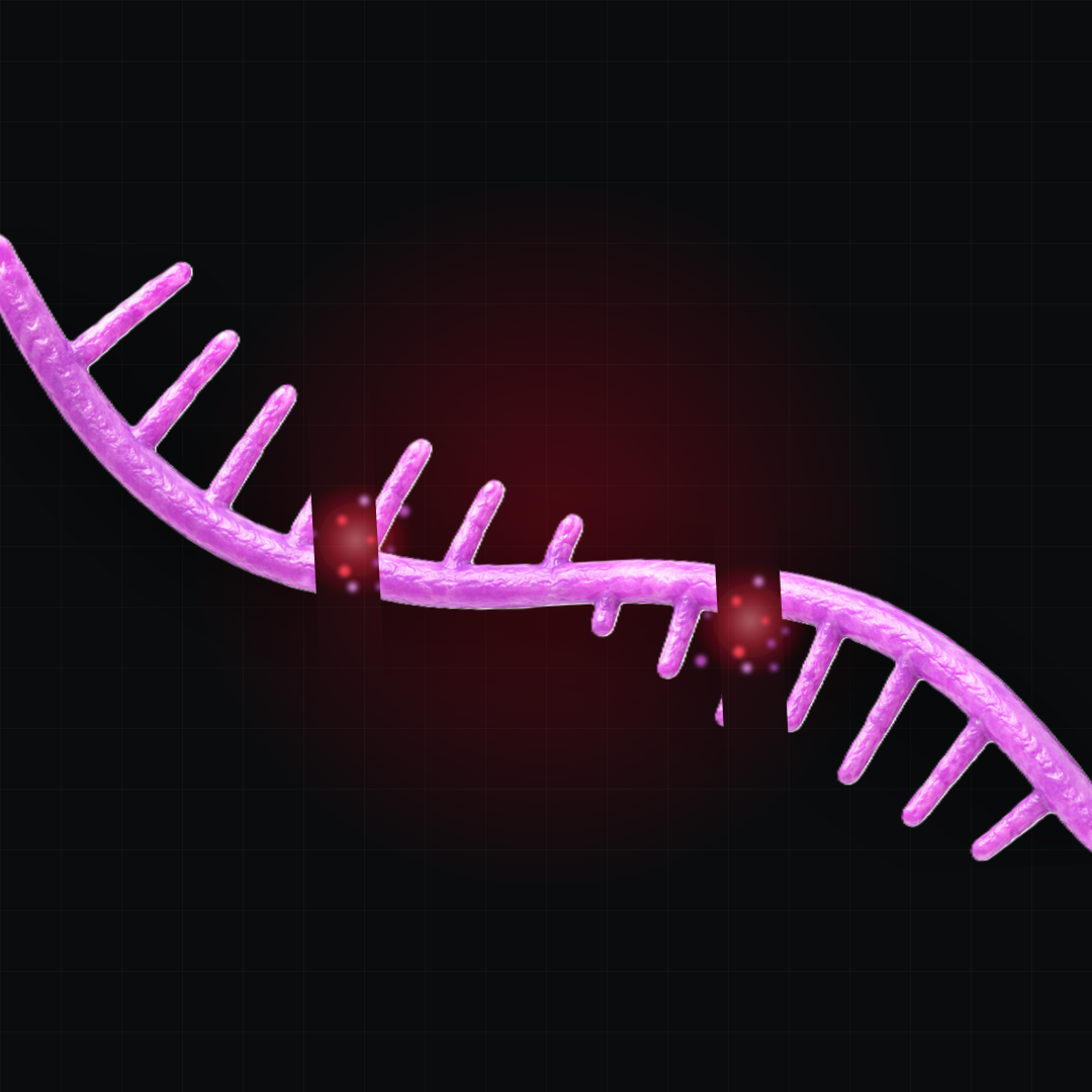 A molecule fragmented by shear